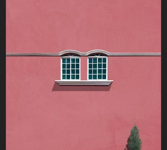 Cuadro Las ventanas y el pino