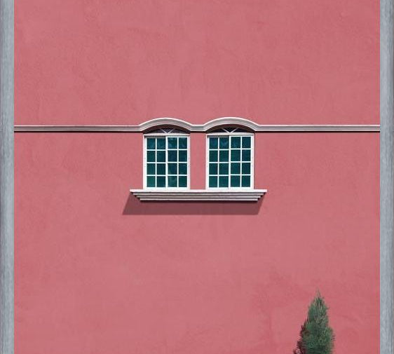 Cuadro Las ventanas y el pino