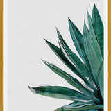 Cuadro Agave Cactus