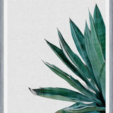 Cuadro Agave Cactus