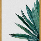 Cuadro Agave Cactus