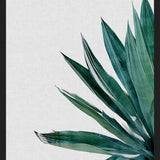 Cuadro Agave Cactus