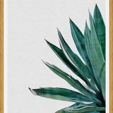 Cuadro Agave Cactus