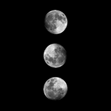 Canvas Moons Black