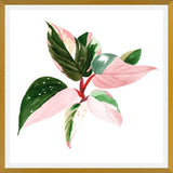 Cuadro pink princess