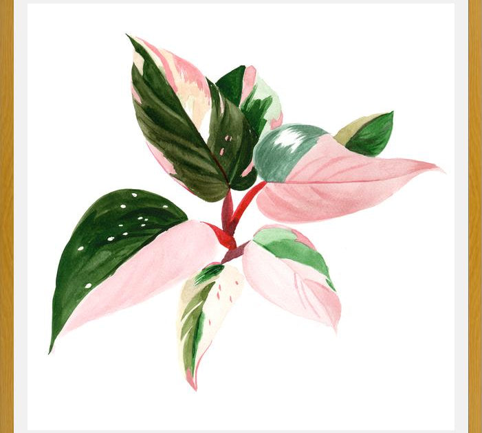 Cuadro pink princess
