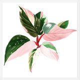 Cuadro pink princess