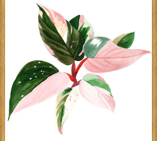 Cuadro pink princess