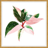 Cuadro pink princess