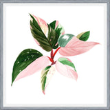 Cuadro pink princess