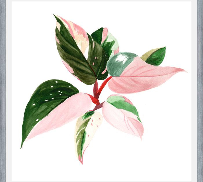 Cuadro pink princess
