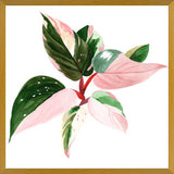 Cuadro pink princess