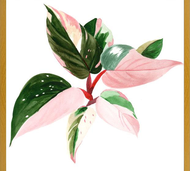 Cuadro pink princess