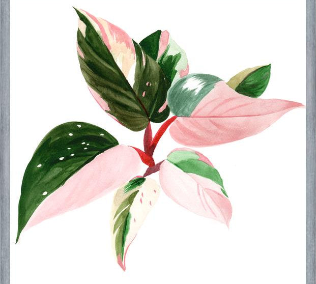 Cuadro pink princess