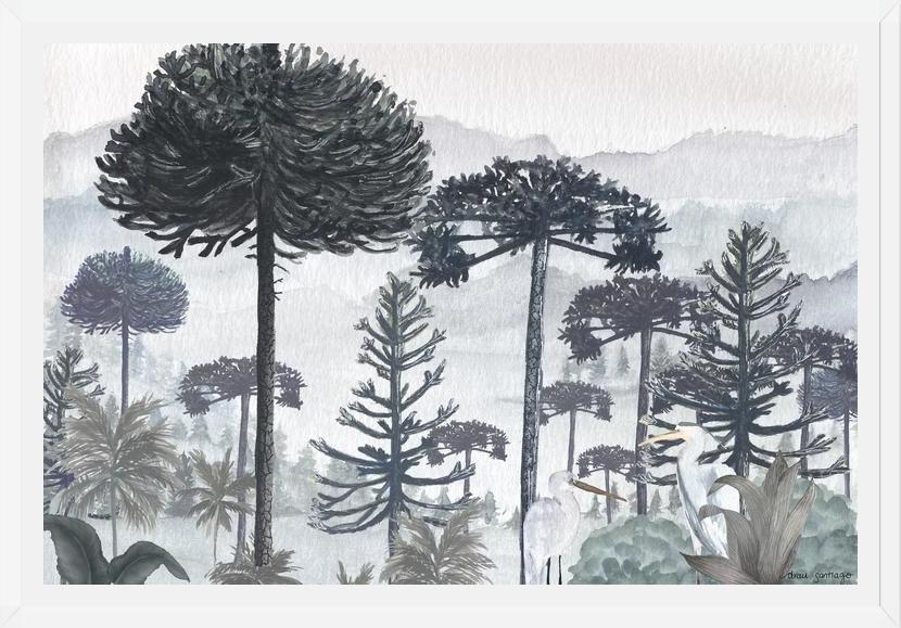 Cuadro Mural Bosque de Araucarias