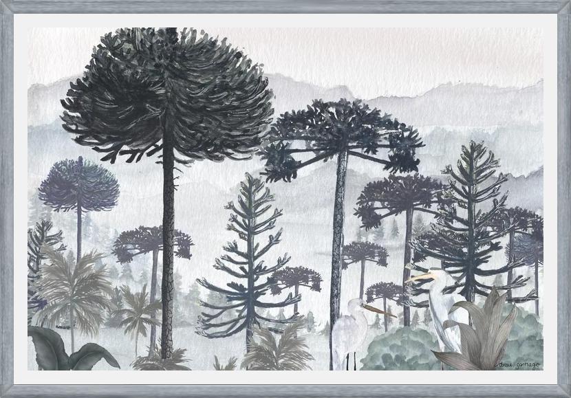 Cuadro Mural Bosque de Araucarias