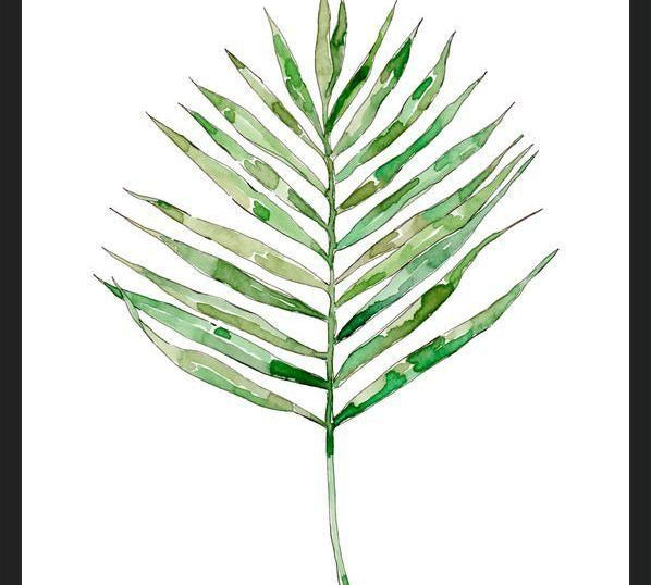 Cuadro Leaf #2