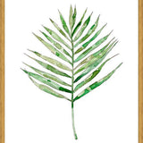 Cuadro Leaf #2