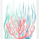 Cuadro Coral
