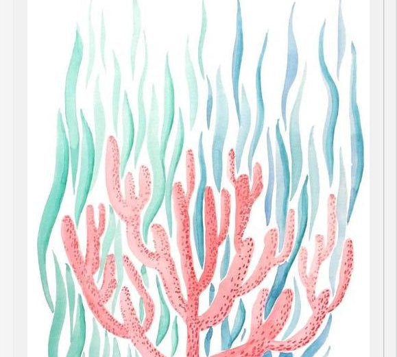 Cuadro Coral