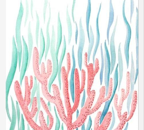 Cuadro Coral