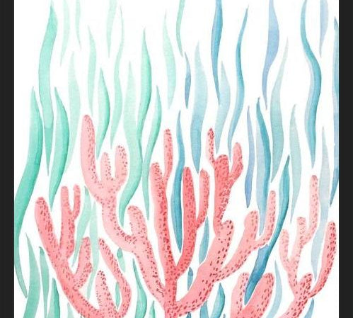 Cuadro Coral