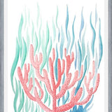 Cuadro Coral