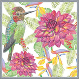 Cuadro Humming Bird White