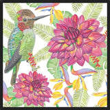 Cuadro Humming Bird White