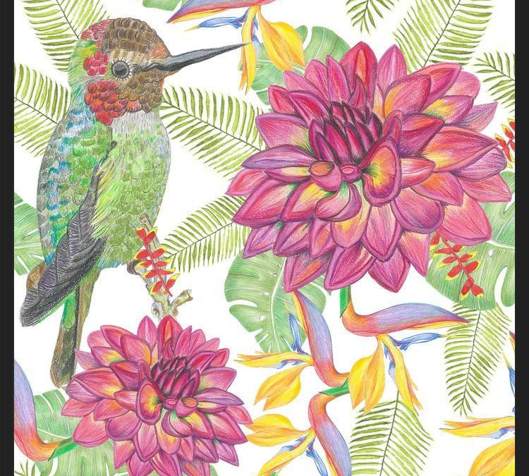 Cuadro Humming Bird White