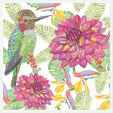 Cuadro Humming Bird White