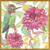 Cuadro Humming Bird White