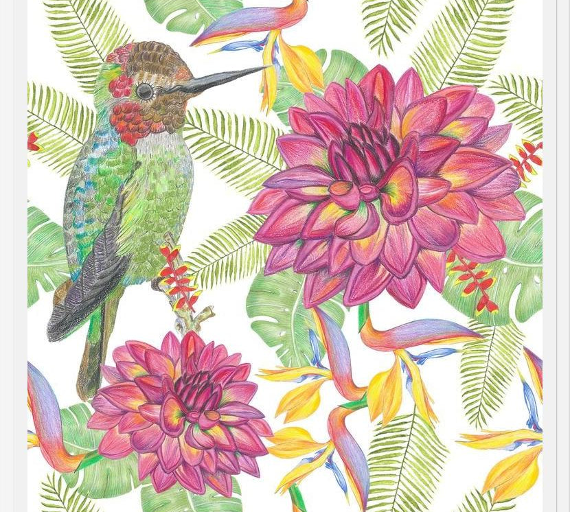 Cuadro Humming Bird White