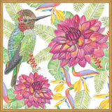 Cuadro Humming Bird White