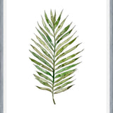 Cuadro Leaf #6