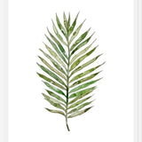 Cuadro Leaf #6