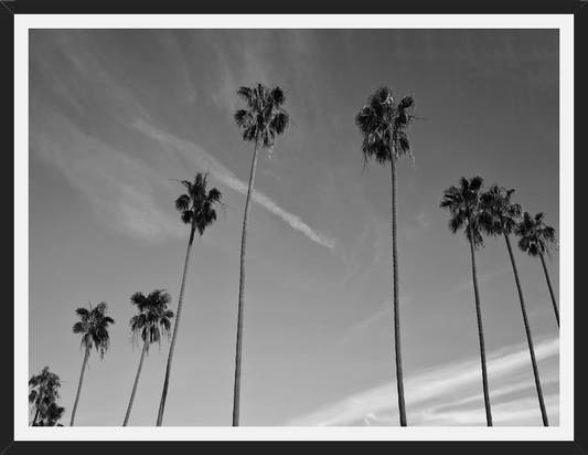 Cuadro The Palm Trees And The Sky