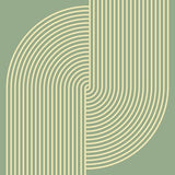 Canvas Loop I