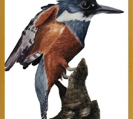 Cuadro Martín pescador