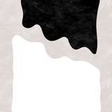 Canvas Black and White Organic Waves