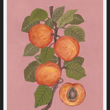 Cuadro Peaches