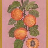 Cuadro Peaches