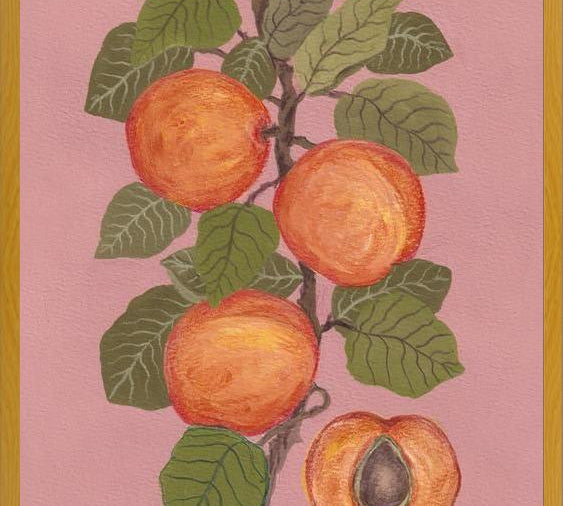 Cuadro Peaches