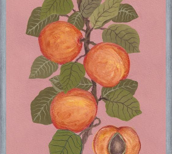 Cuadro Peaches