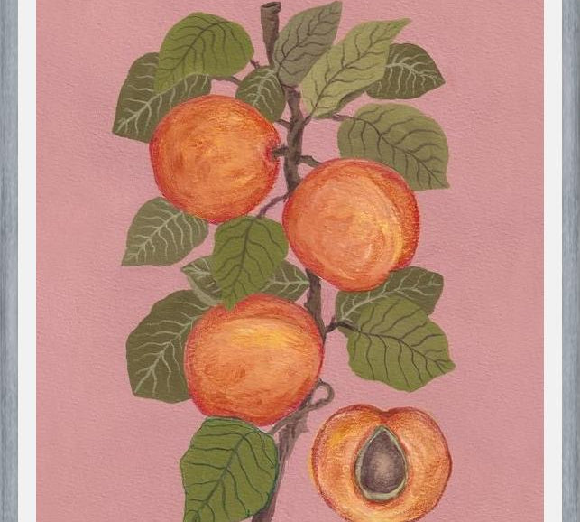 Cuadro Peaches