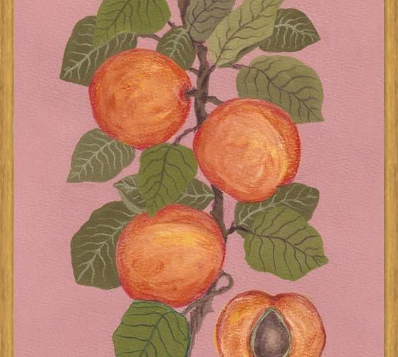 Cuadro Peaches
