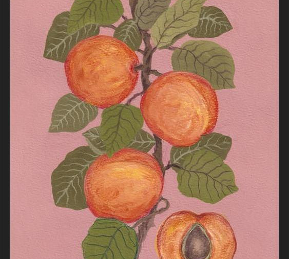 Cuadro Peaches