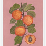 Cuadro Peaches
