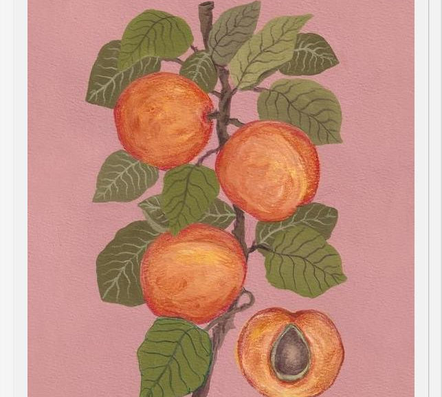 Cuadro Peaches