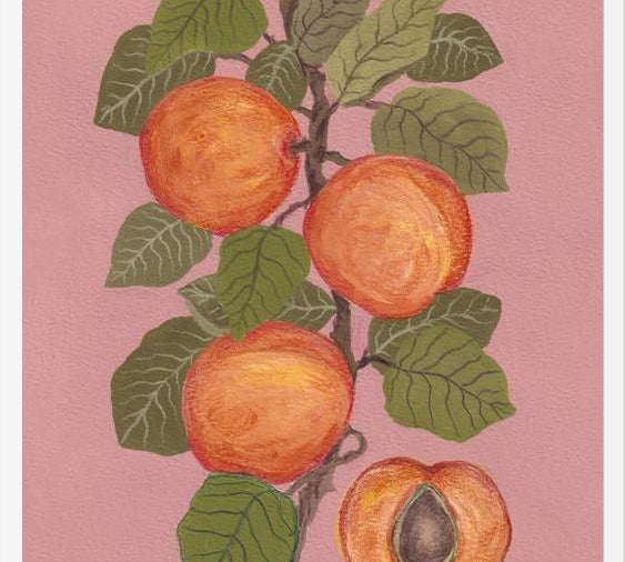 Cuadro Peaches
